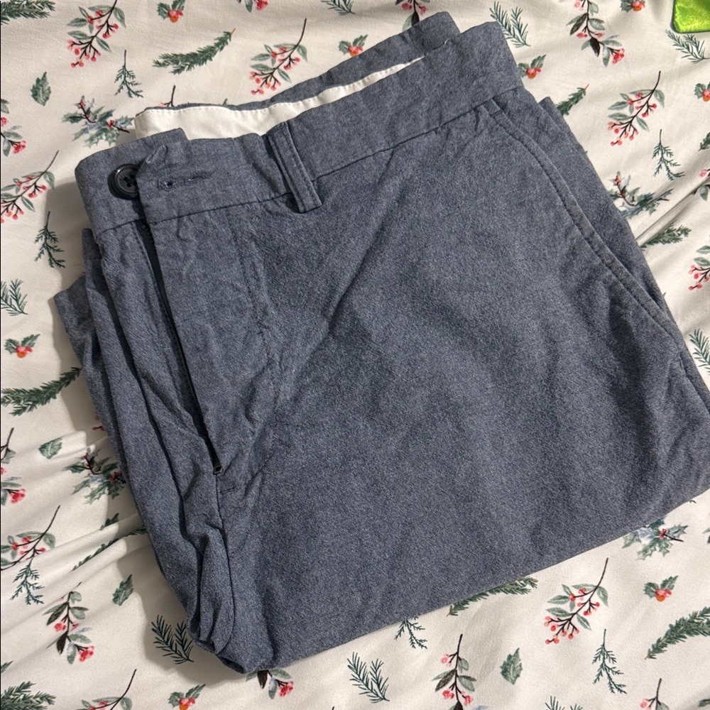 Old Navy Men's Blue Flat Front Shorts